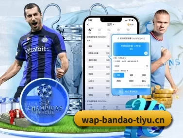 半岛电竞 APP